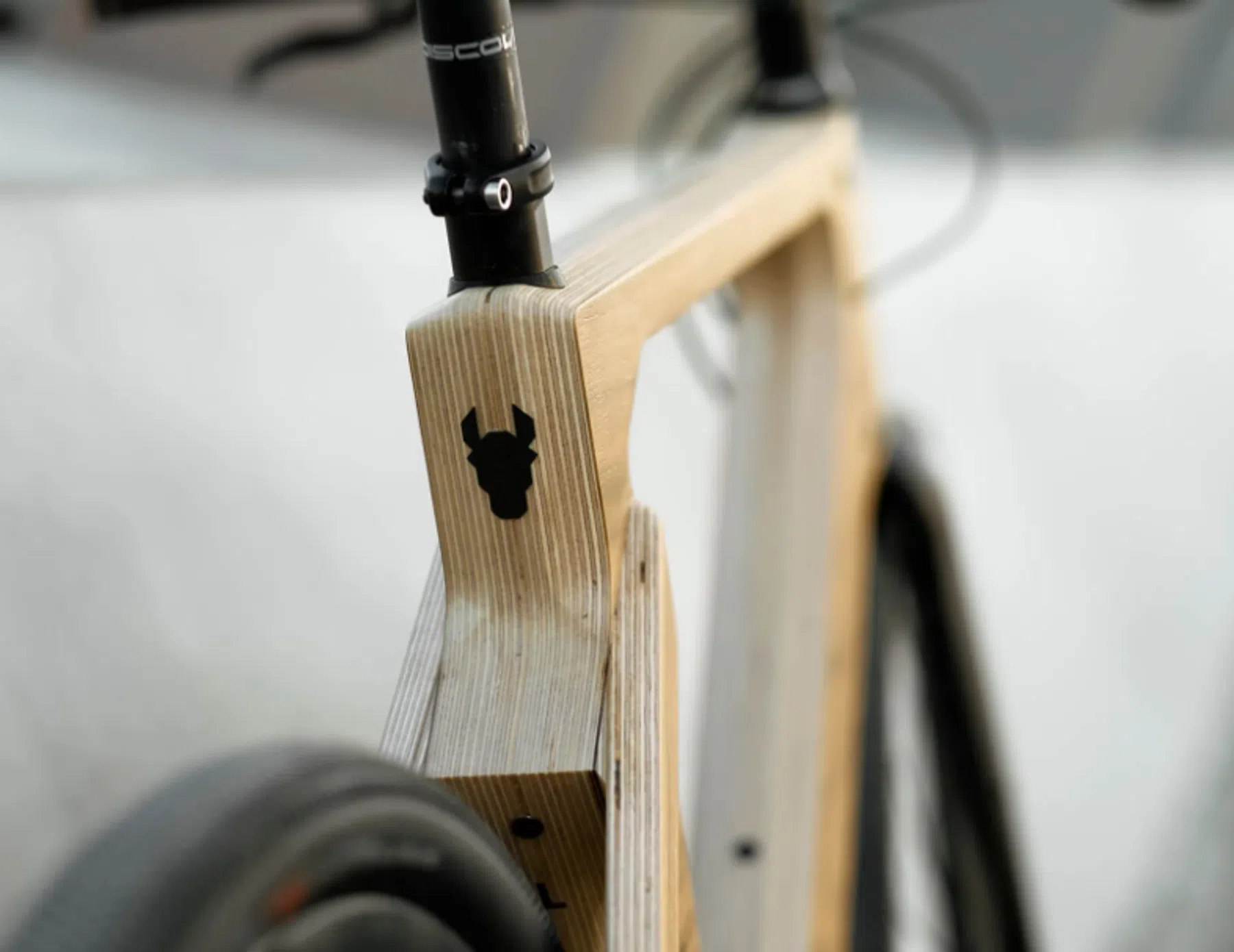 Houten e-bike van Esel